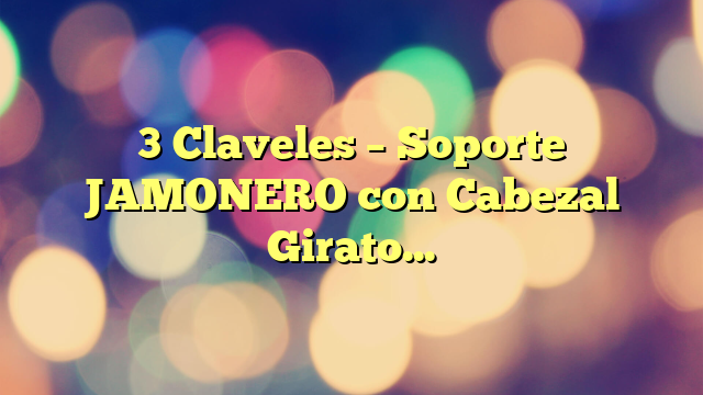 3 Claveles – Soporte JAMONERO con Cabezal Giratorio con Base EN Acero Inoxidable|49 x 16.5 x 39 cm, Color Gris, Grande
